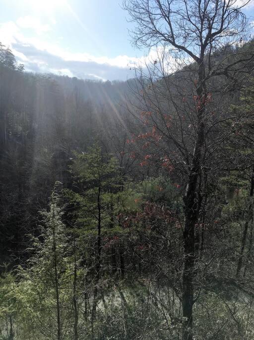 Little Cabin All To Yourself Sevierville Εξωτερικό φωτογραφία