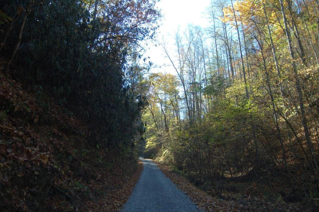 Little Cabin All To Yourself Sevierville Εξωτερικό φωτογραφία