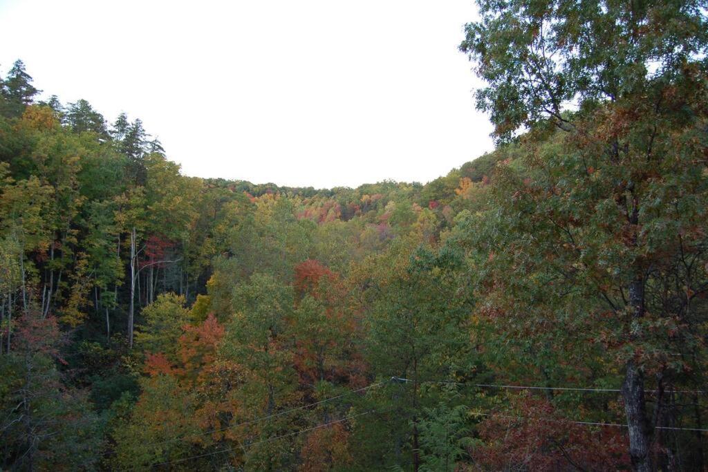 Little Cabin All To Yourself Sevierville Εξωτερικό φωτογραφία