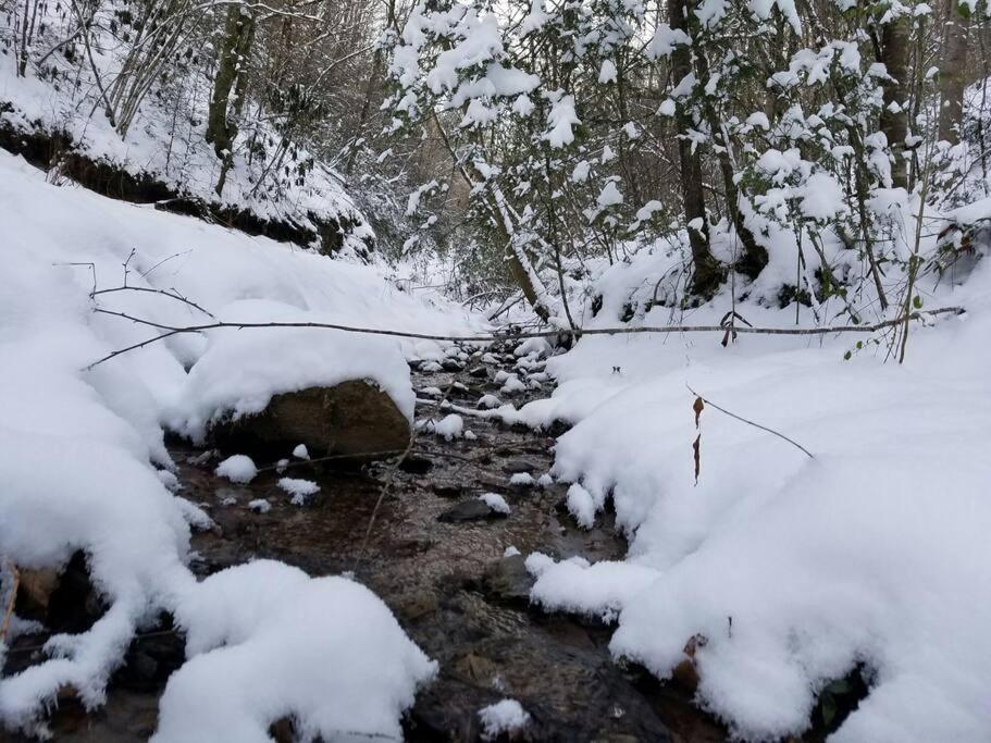 Little Cabin All To Yourself Sevierville Εξωτερικό φωτογραφία